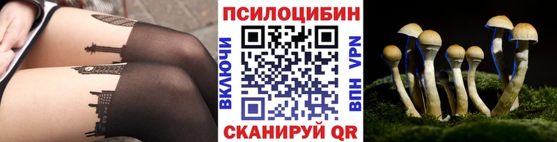 Галлюциногенные грибы Cubensis  Азнакаево 